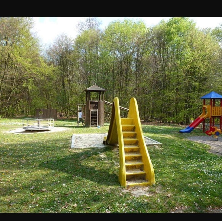 Neues-Ferienhaus-Am-Schoenen-Ferienpark-Twistesee-Naehe-Bad-Arolsen バート・アロルゼン エクステリア 写真